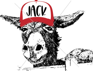 Jack Ass