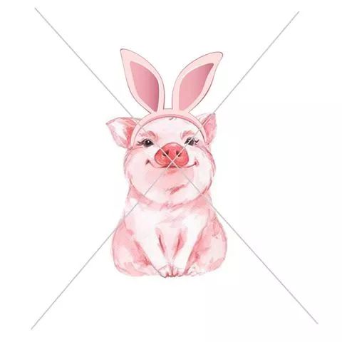 Bunny Pig