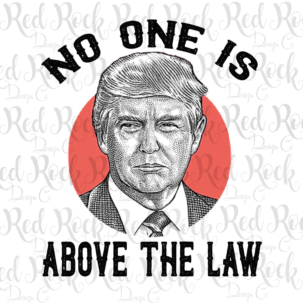 No one is  above the law - DD
