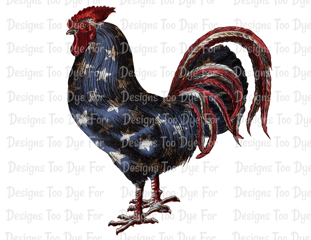 American Rooster - Sublimation